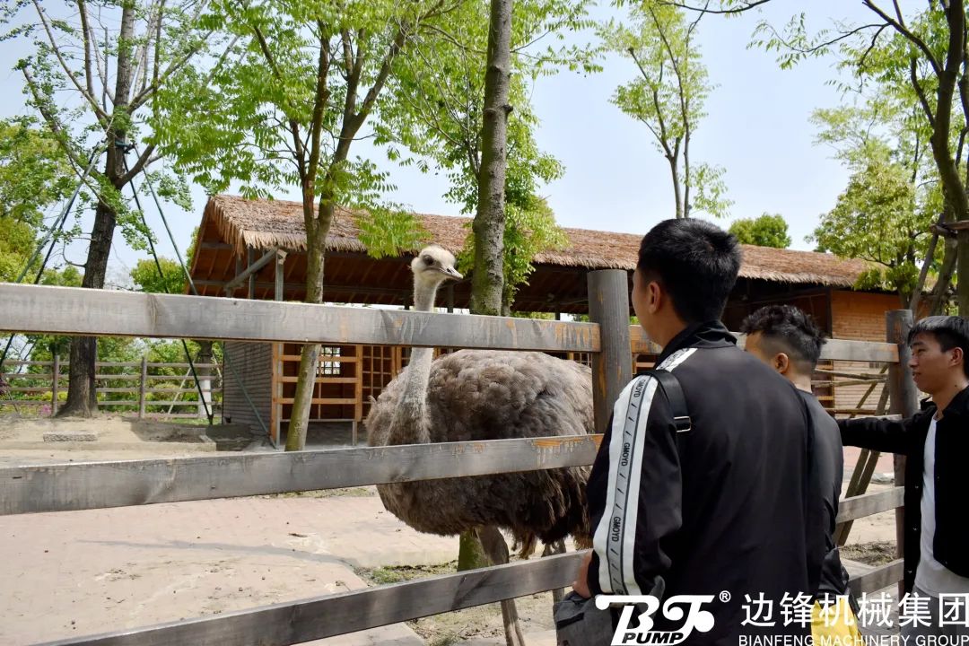 f9190d07d0f1b90d_47_2 f9190d07d0f1b90d_47_2