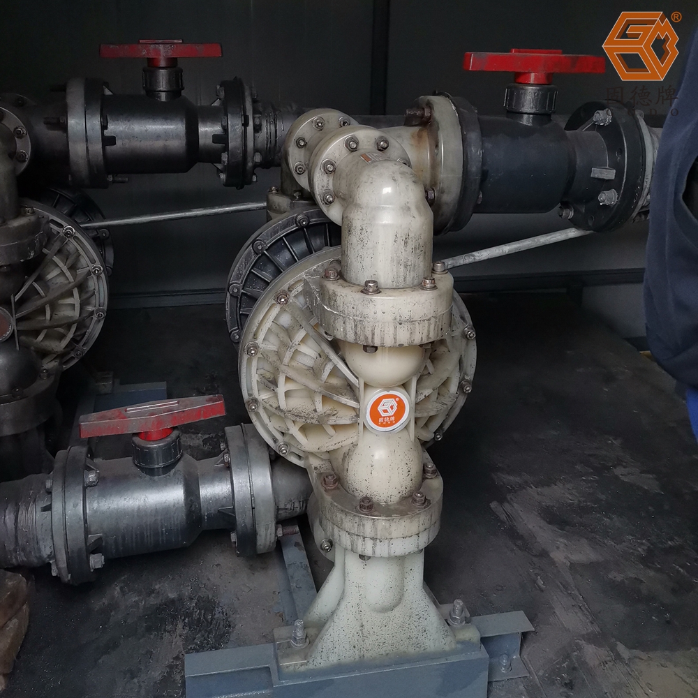 1711677696-7771.jpg 1711677696-7771.jpg