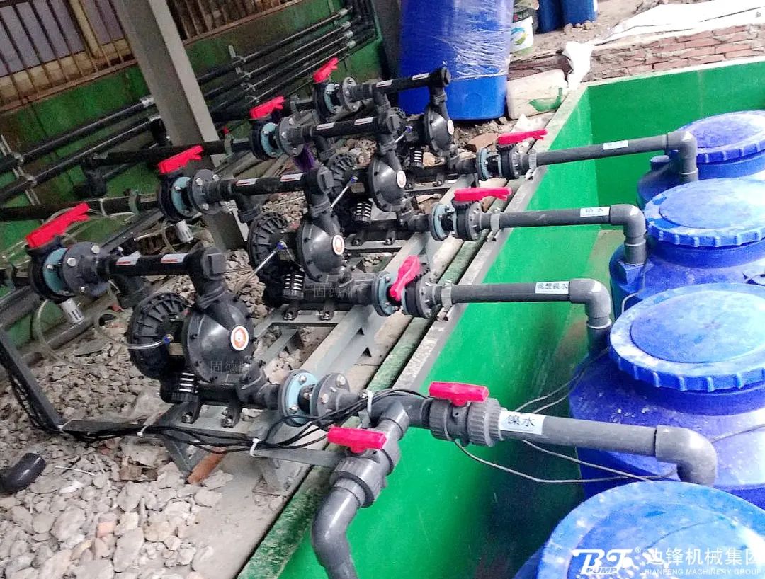 1718069331-3224.jpg 1718069331-3224.jpg