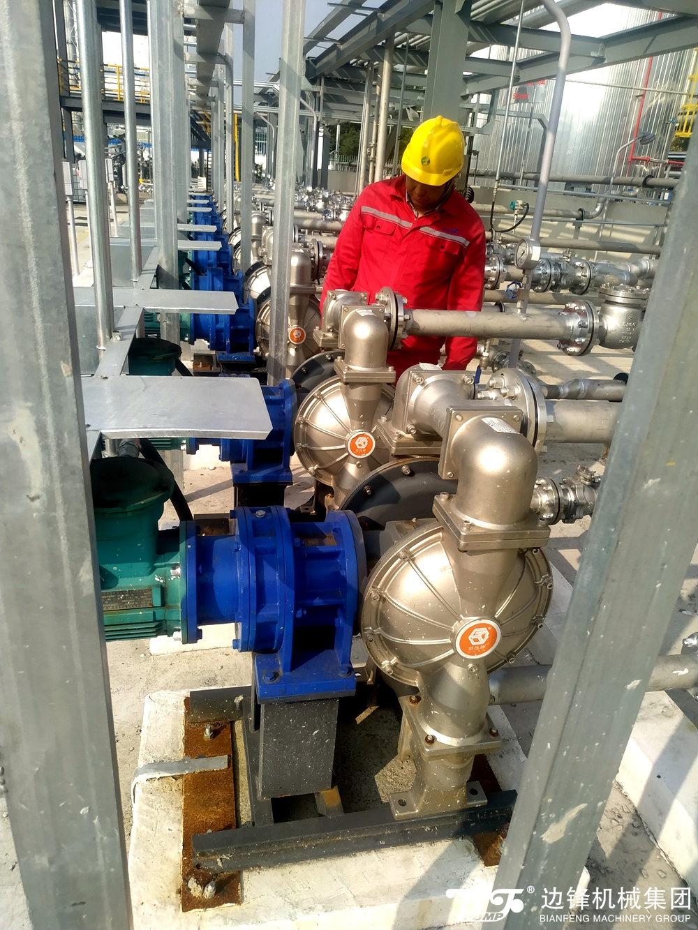 1718328012-9530.jpg 1718328012-9530.jpg