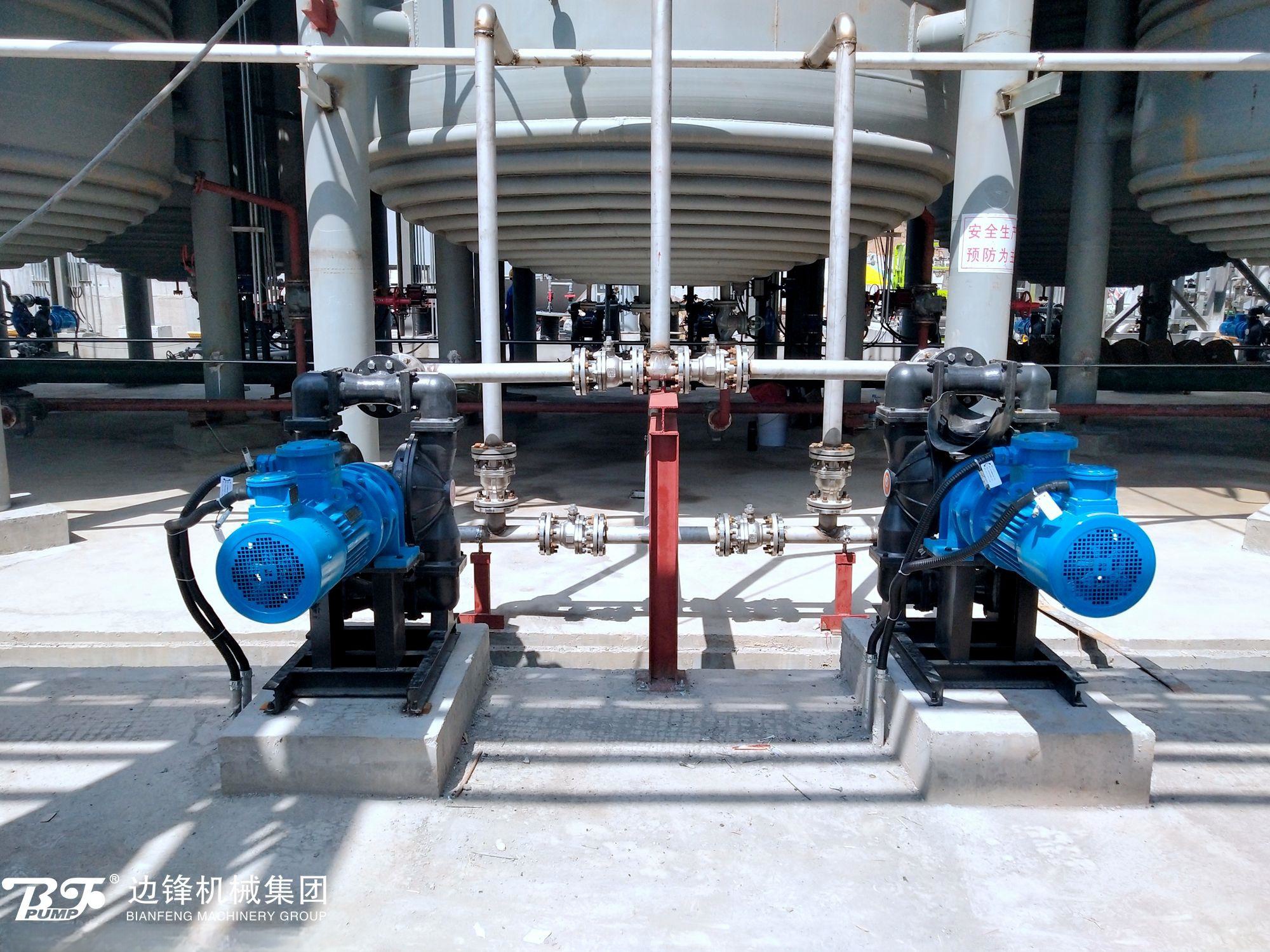 1721956662-5467.jpg 1721956662-5467.jpg