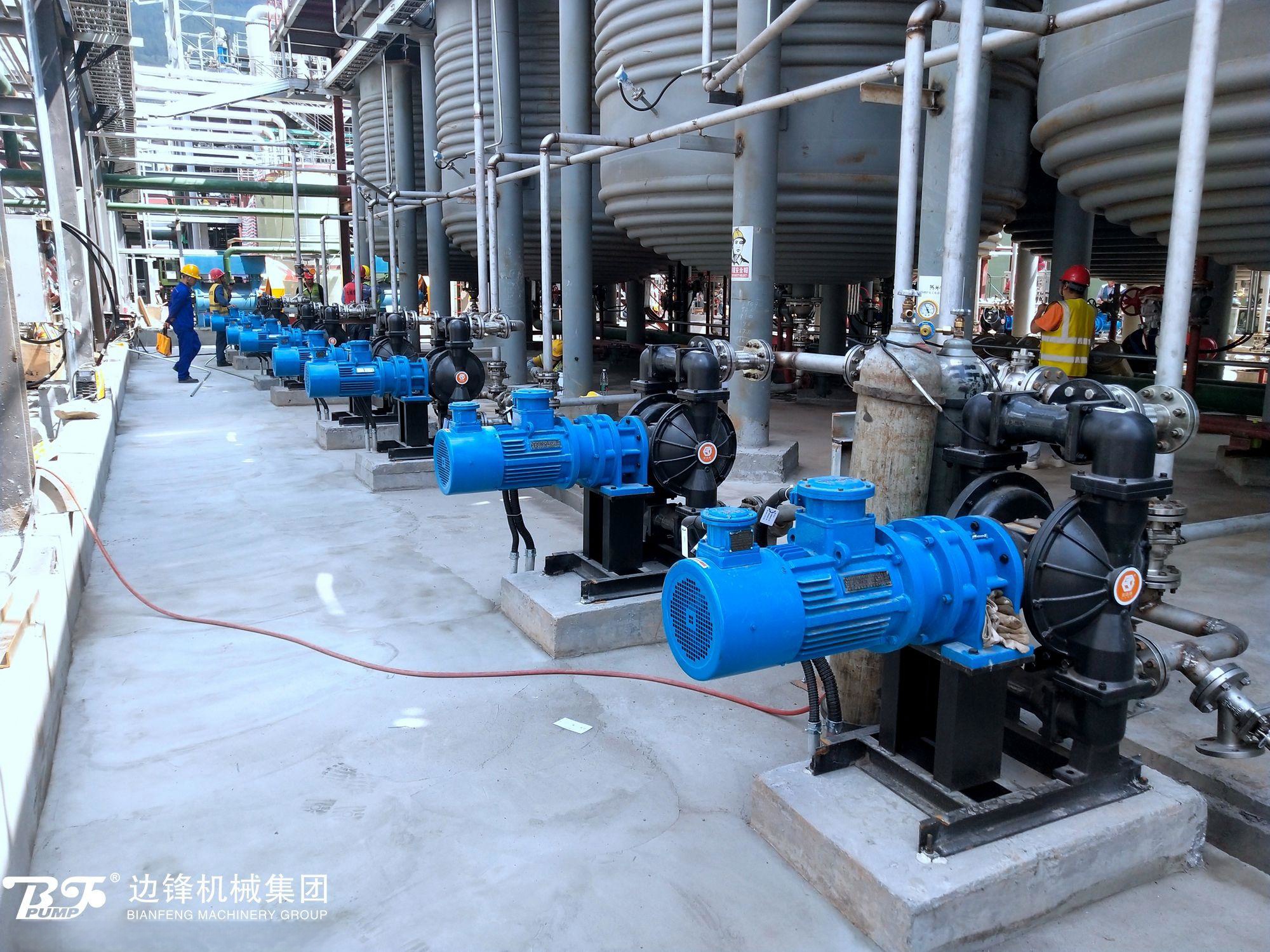 1721956998-8341.jpg 1721956998-8341.jpg