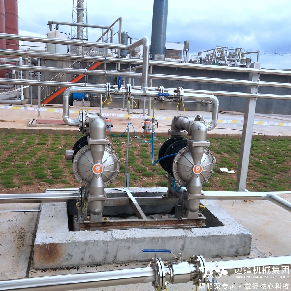 1725584986-4759.jpg 1725584986-4759.jpg