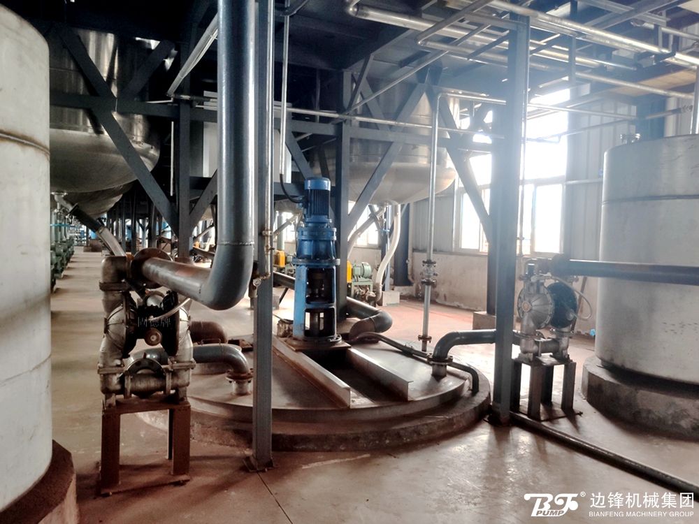 1725845269-7224.jpg 1725845269-7224.jpg