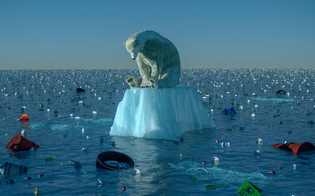 1726104483-8015.png 1726104483-8015.png