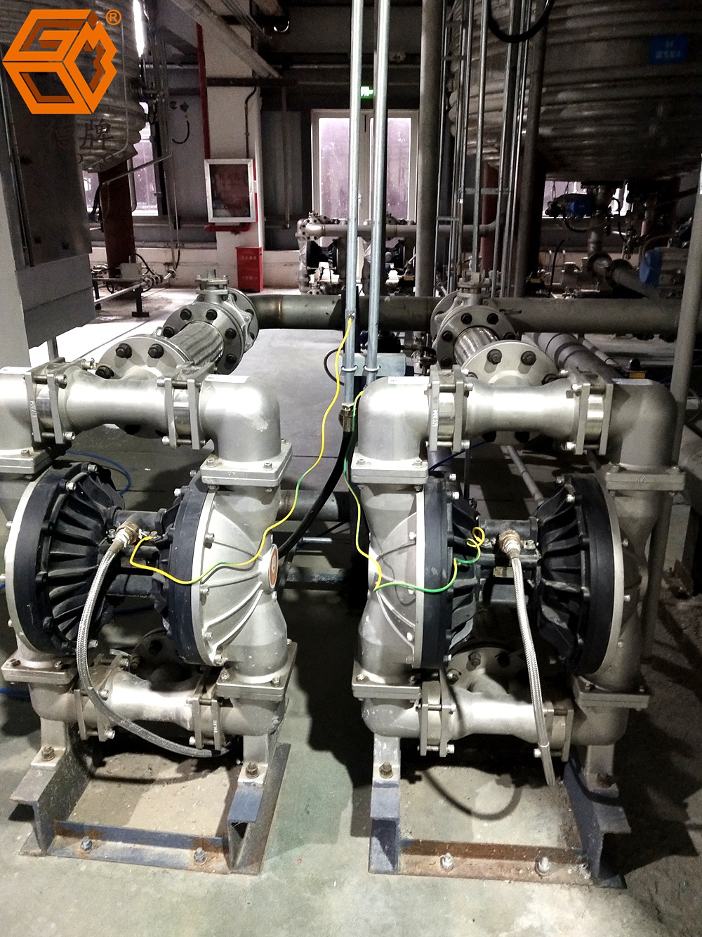 IMG_20240119_115300 IMG_20240119_115300