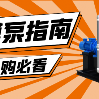 收下這份隔膜泵采購指南，助你龍年“泵”發(fā)生產(chǎn)活力
